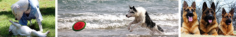 North Texas Raw Fed Pets